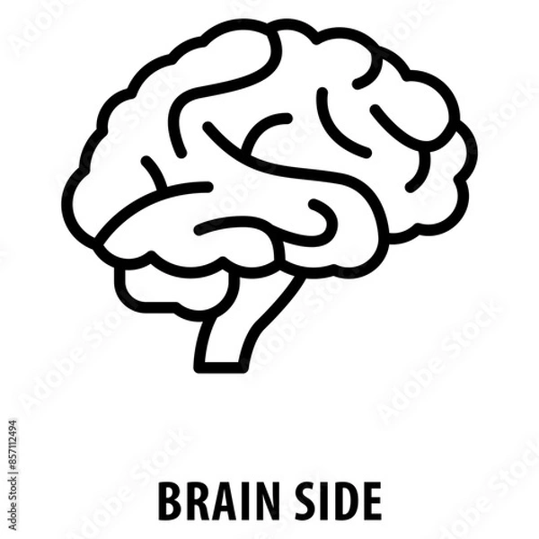 Fototapeta brain side Icon simple and easy to edit for your design elements