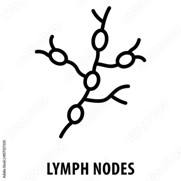 Fototapeta lymph nodes Icon simple and easy to edit for your design elements