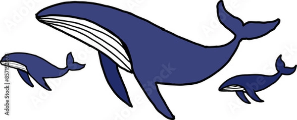 Obraz Group of humpback whales, marine animals Mammals