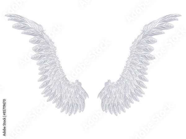 Fototapeta White Wings