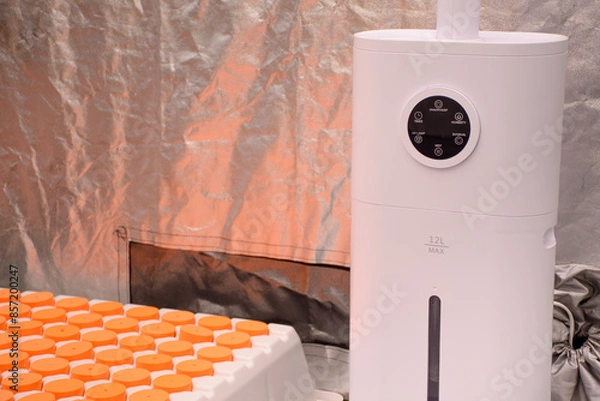 Obraz Close up of a humidifier and plant cloning tray for hydroponic growing. Cloner Aeroponic Tray Hydrophonics Growing System and humidifiers for growing cannabis plants.