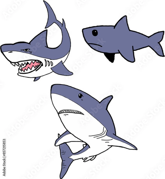 Obraz A group of sharks is a marine animal.