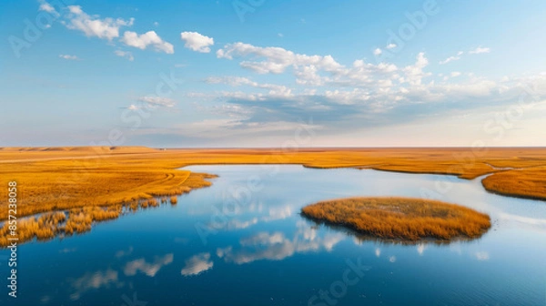 Fototapeta aerial view of autumn marsh with reflecting sky