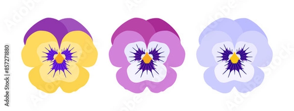 Fototapeta Pansy flowers. Vector set of violet flowers in yellow, pink and blue colors isolated on white background. For print, stickers, cards and invitations.
