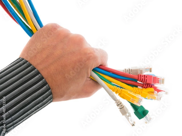 Fototapeta Hand holding a bundle of colorful network cables
