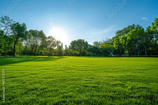 Fototapeta An expansive park setting featuring a wide, green field and a clear blue sky, perfect for incorporating text and product images.. AI generated.