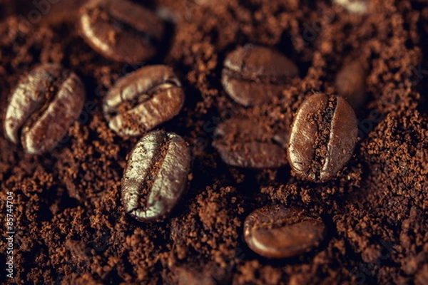 Fototapeta coffee beans on coffee grounds