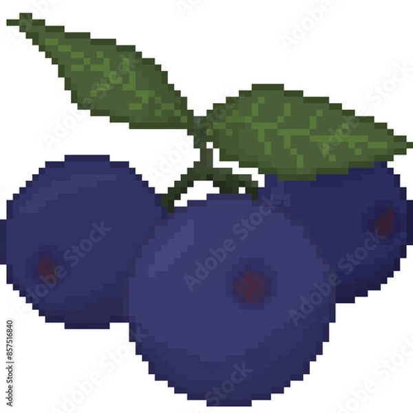 Obraz  A retro-styled pixel-art illustration of blueberries hanging from a leafy green stem.