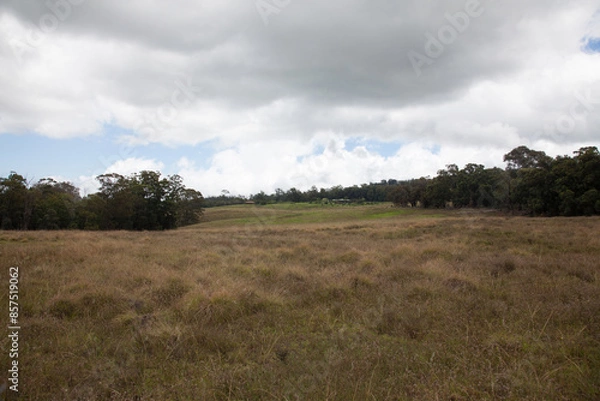 Fototapeta Open Field with Overcast Sky and Tree Line in the Distance
