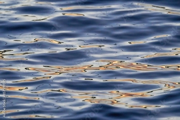 Fototapeta 夕日を浴びて輝く水面の情景