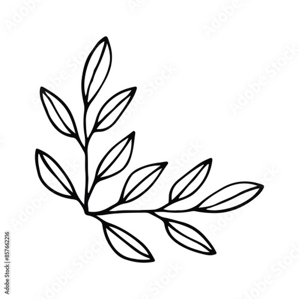 Fototapeta Hand drawn set of line frames on a white background. Corner Border Eklement. Sketch elements of floral and herbs ornaments for banner design. Line border collection. Arrows. Isolated separators. Vinta
