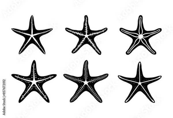 Fototapeta a collection of starfish, starfish engraving black and white outline