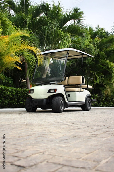 Obraz Golf Cart