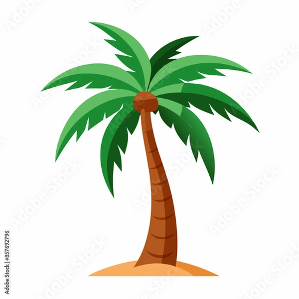 Fototapeta palm tree vector illustration