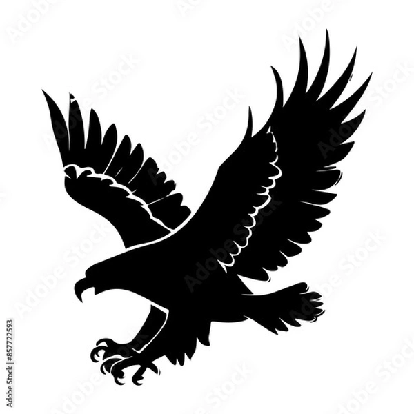 Obraz Bird Silhouette 