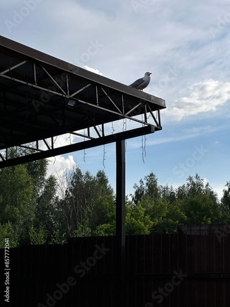 Fototapeta bridge in the park