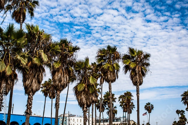 Fototapeta Venice Beach