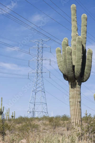 Obraz Towers in the desert