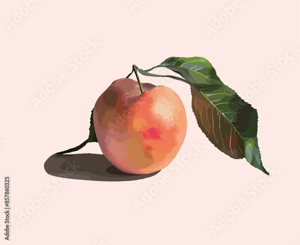 Obraz Adobe Illustrator Artwork fruit peach vector