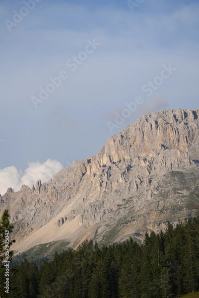 Obraz Mountain Majesty: Imposing Cliffs Above a Forest