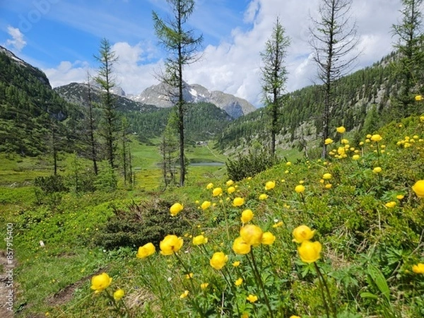 Obraz Funtensee mit Kärlingerhaus