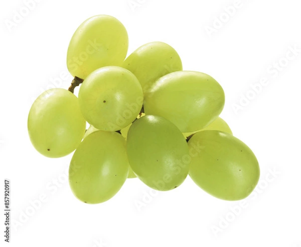 Obraz Weintrauben, hell