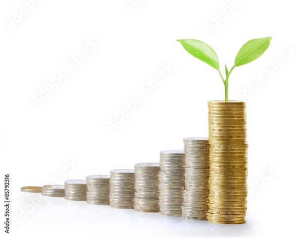 Fototapeta Coins graph stock market