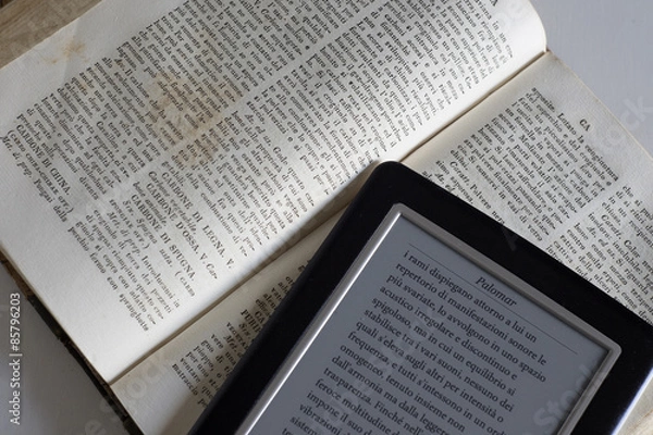 Obraz book and ebook reader