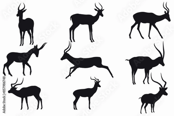 Obraz deer silhouette