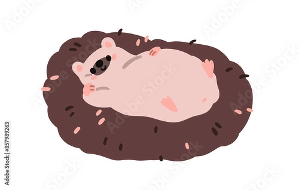 Fototapeta Cute hedgehog lying, relaxing. Funny adorable kawaii animal resting belly up. Happy lazy baby character, carefree relaxation. Childrens flat  illustration isolated on white background
