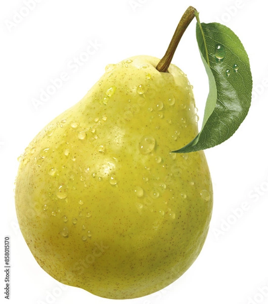 Obraz Birne mit Blatt