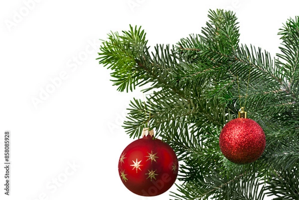 Obraz Christmas Decorations with tree branches and baubles isolated on white background