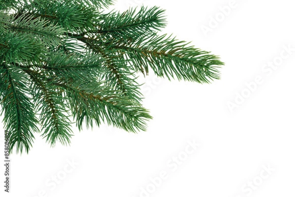 Obraz Christmas tree branch on corner border, pine branch on transparent background