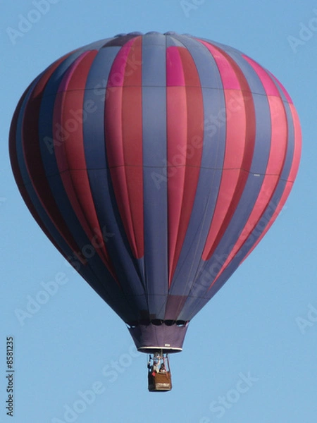 Obraz purple balloon