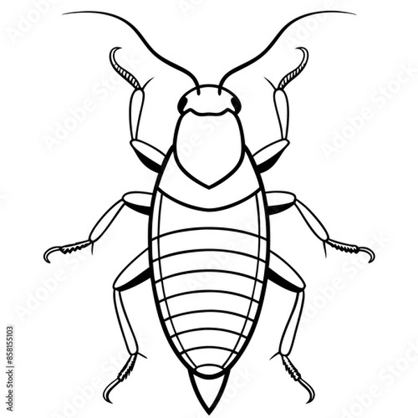 Fototapeta Madagascar hissing cockroach vector