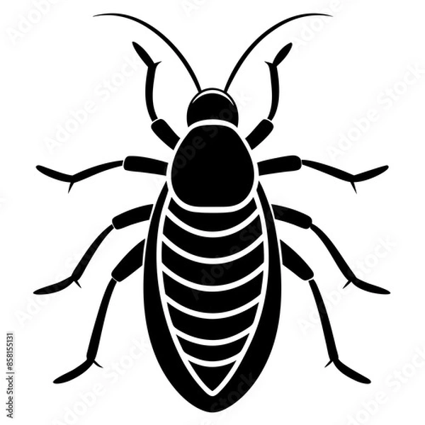 Fototapeta Madagascar hissing cockroach vector
