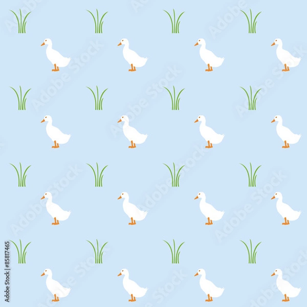 Obraz Wzór kaczki