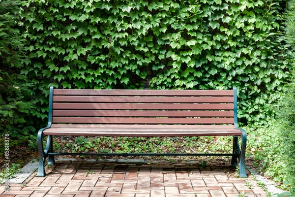 Fototapeta Bench and Ivy