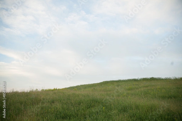 Fototapeta природа трава и небо