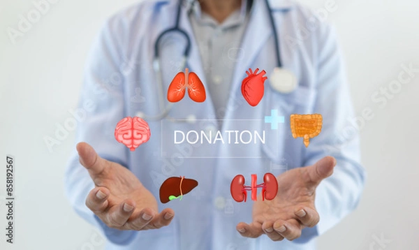 Fototapeta Concept of organ donation and transplantation, doctor holds with virtual icons of various human organs, including the brain, lungs, heart, liver, kidneys, and intestines, saving lives organ donation