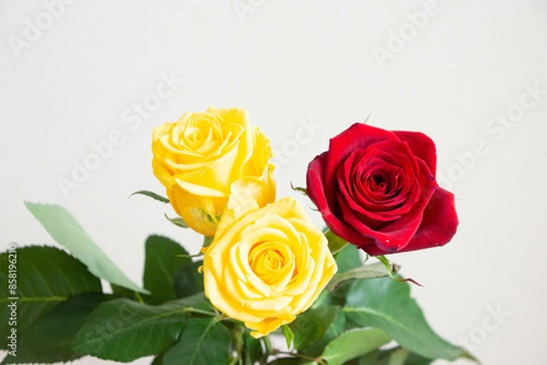Fototapeta 黄色と赤のばら