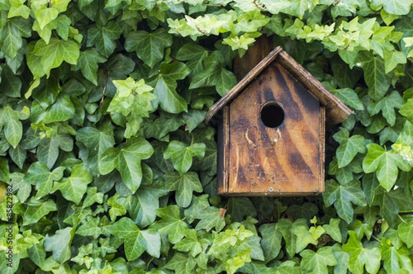 Obraz Casa dolce casa