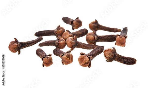 Fototapeta Spice cloves transparent png