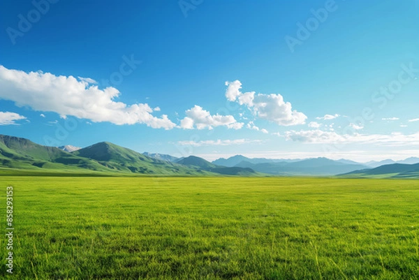 Obraz Summer alpine grasslands with blue sky and white cloud background