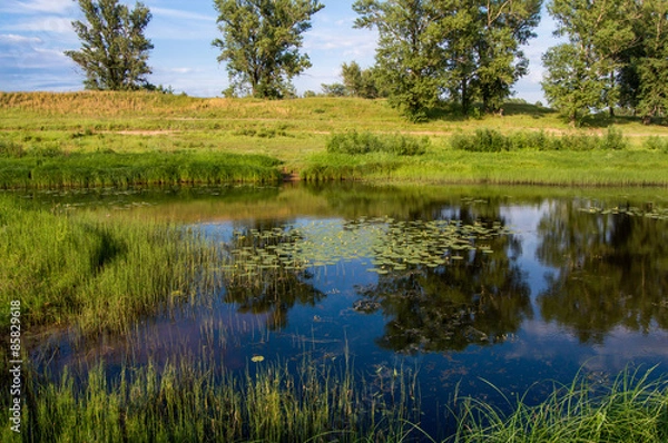 Obraz небольшой пруд с кувшинками