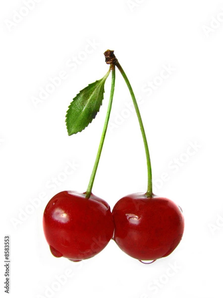 Fototapeta Cherry