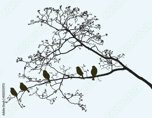 Fototapeta Silhouettes of sparrows birds sitting on deciduous tree branches in spring forest, vector illustration, nature bckground