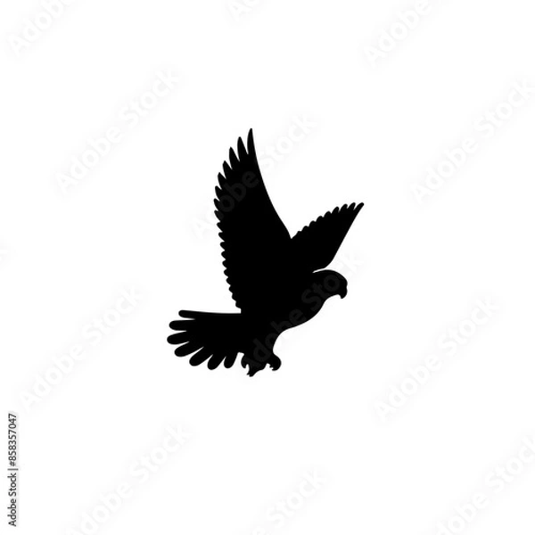 Obraz Set of black bird silhouettes Vector elements for design.