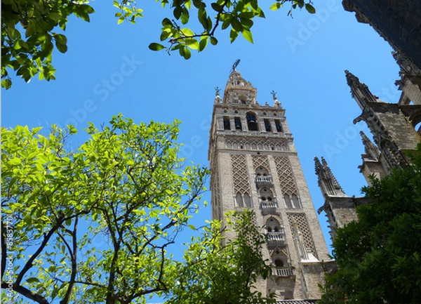 Fototapeta Giralda in Sevilla