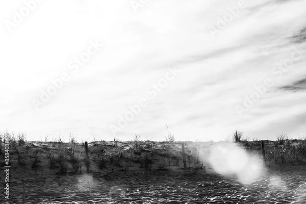 Obraz Monochrome beach dunes sunset